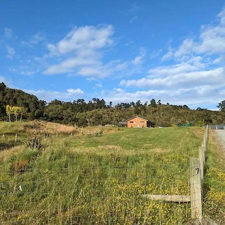 Enchanted Retreat In Greymouth Shared With Host Exterior photo
